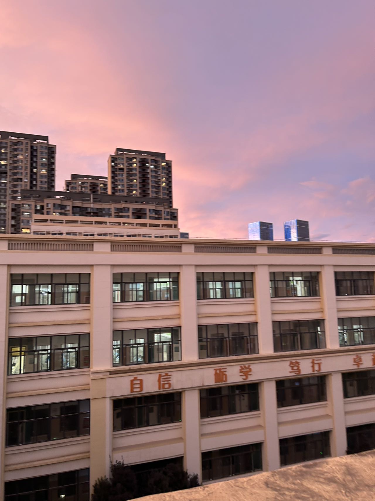 找旅游搭子