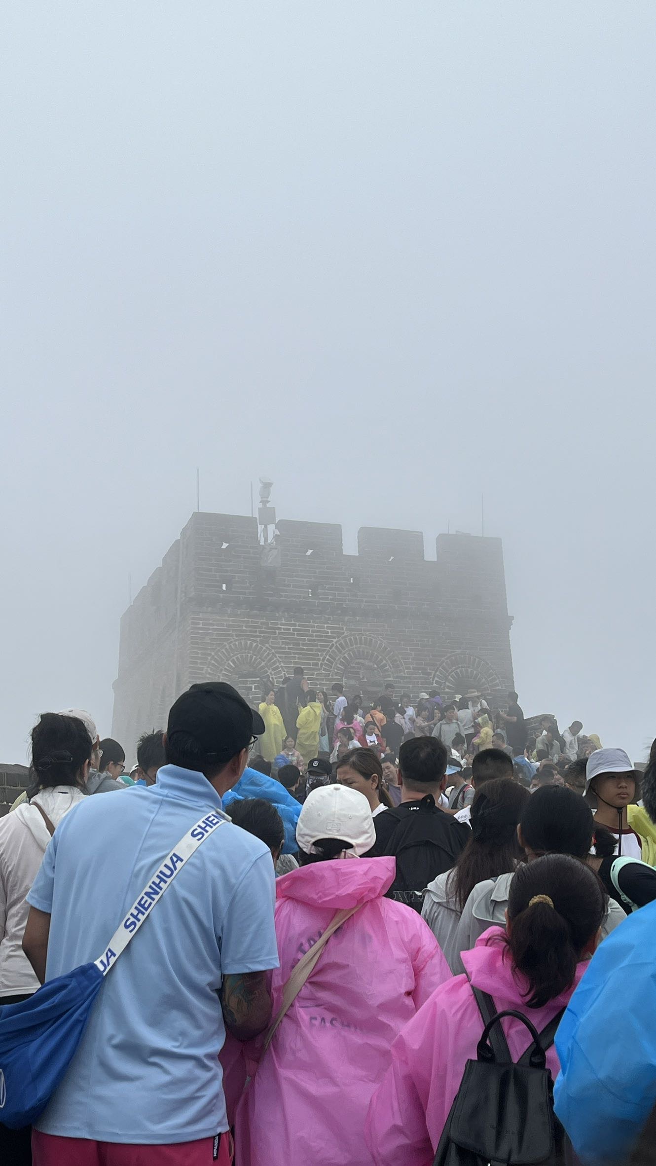 找旅游搭子