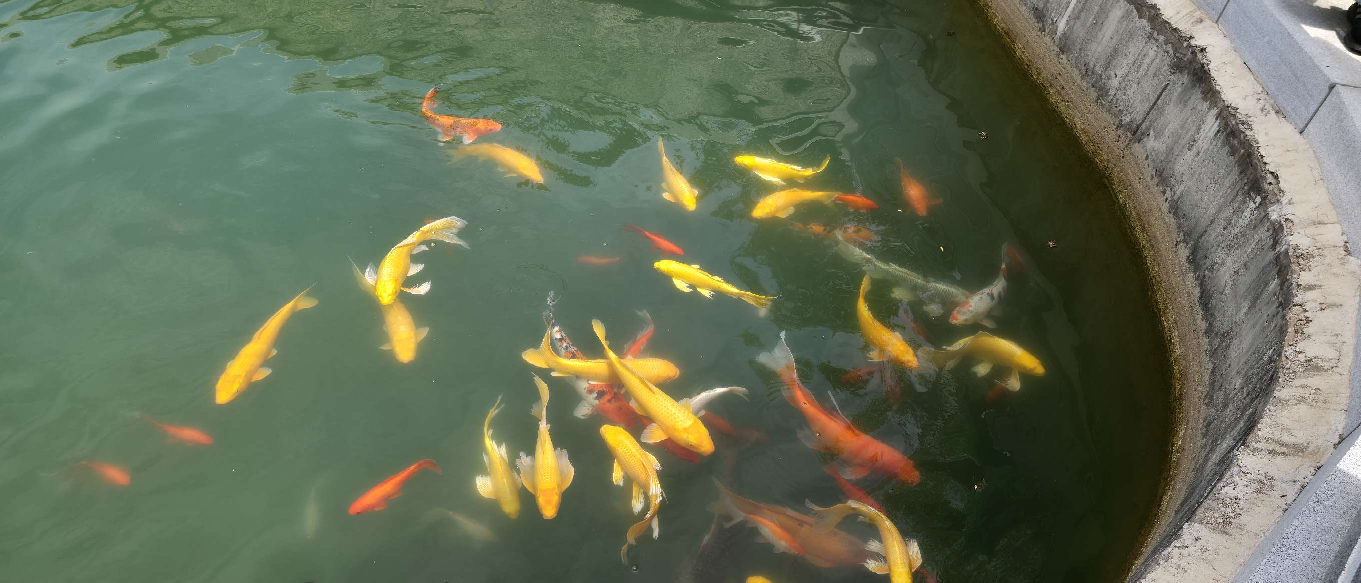找运动流浪搭子