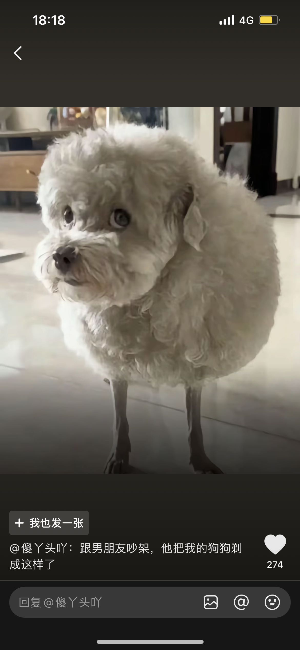 找游泳搭子