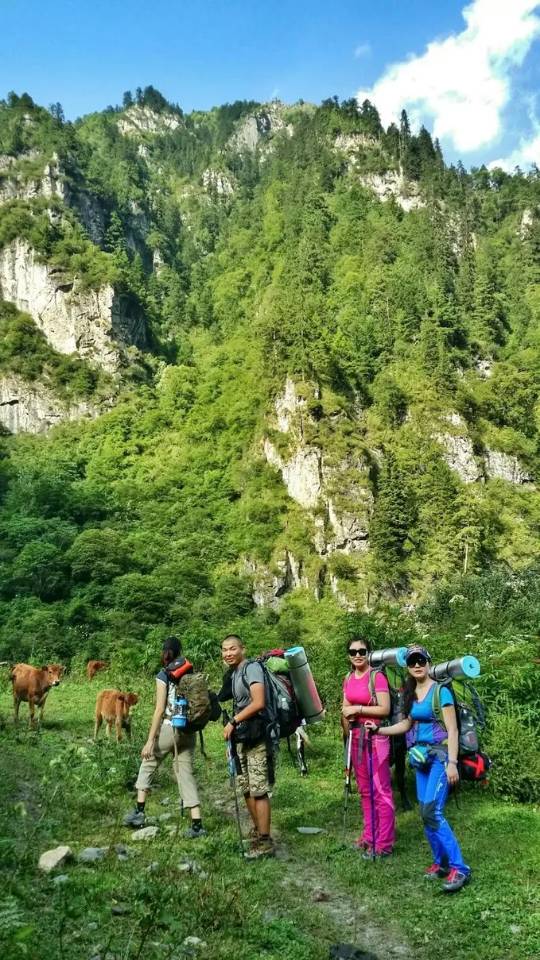 找自驾旅行搭子