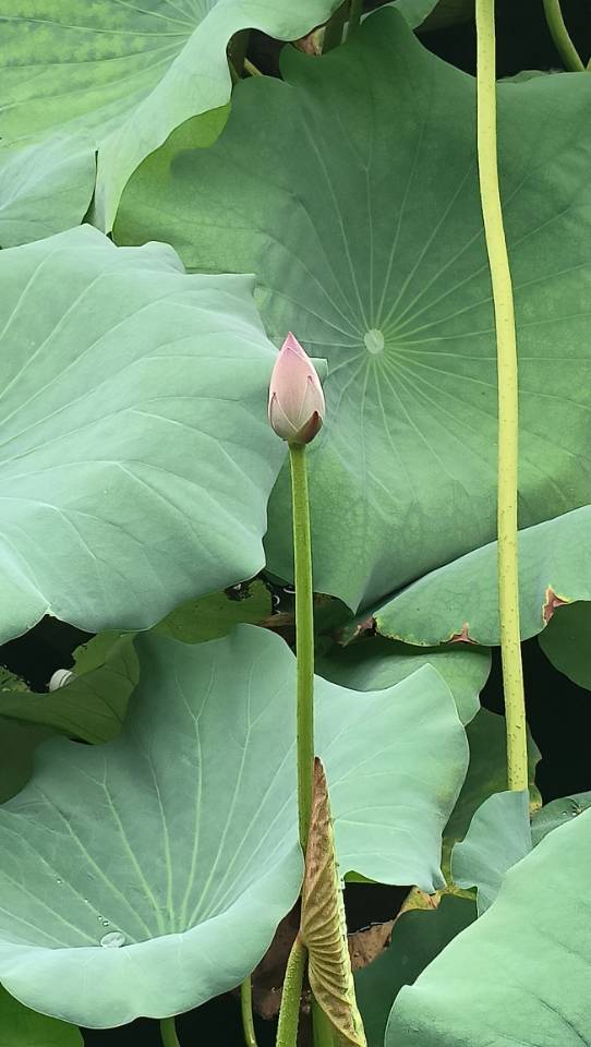 找运动搭子