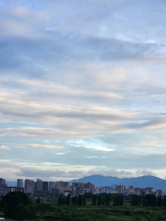 找散步搭子