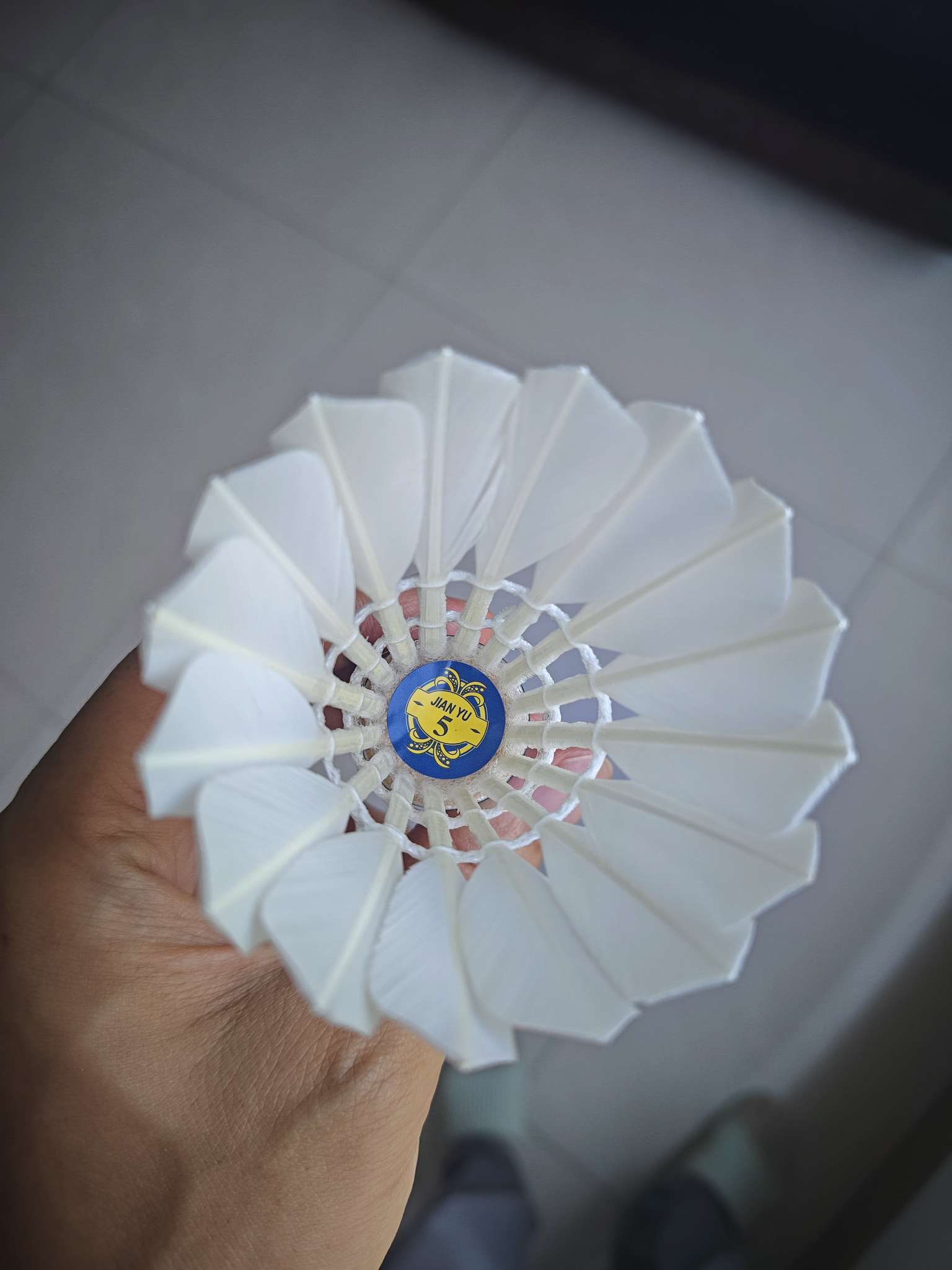 找运动搭子