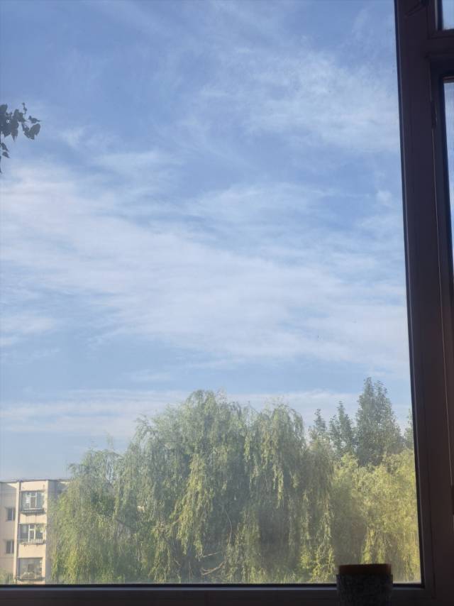 找聊天搭子