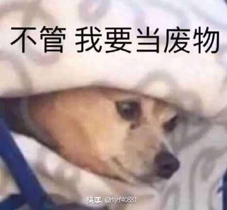 找学习搭子
