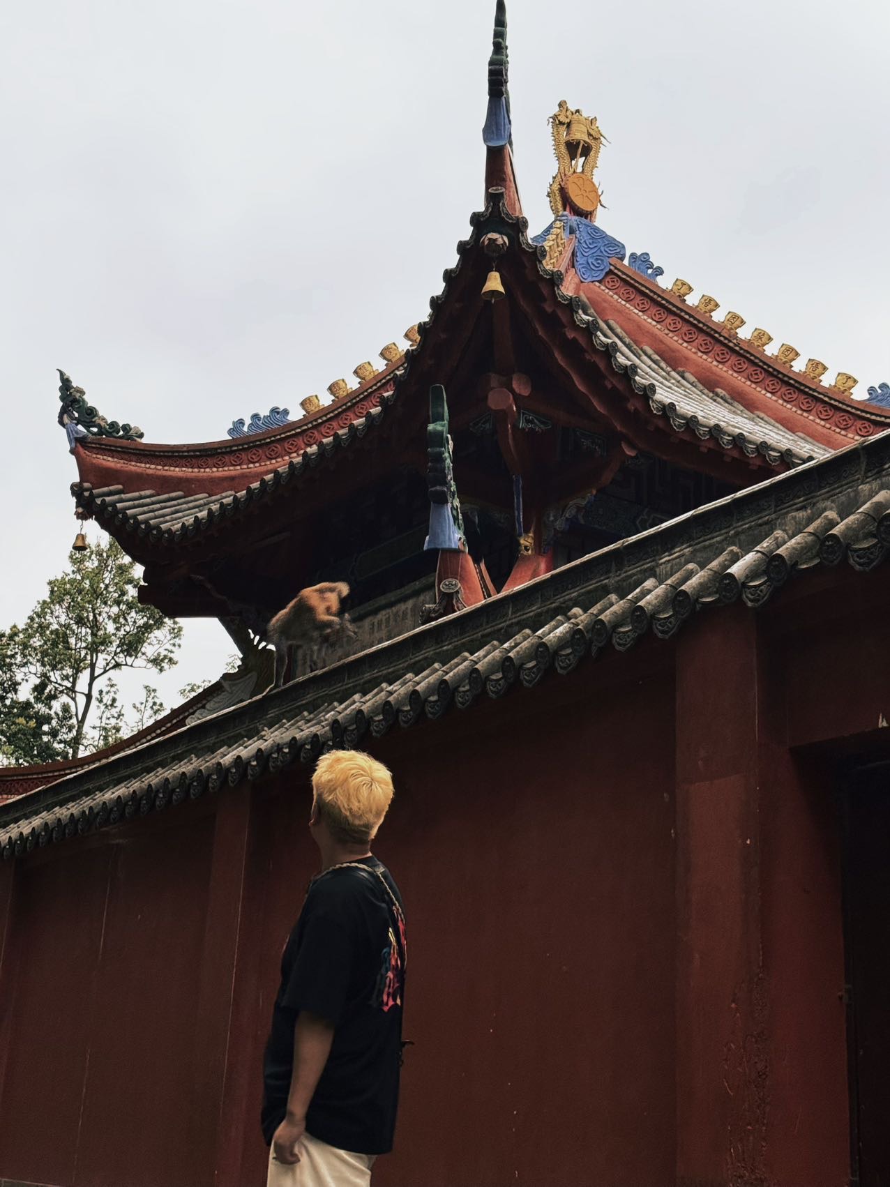 找运动搭子