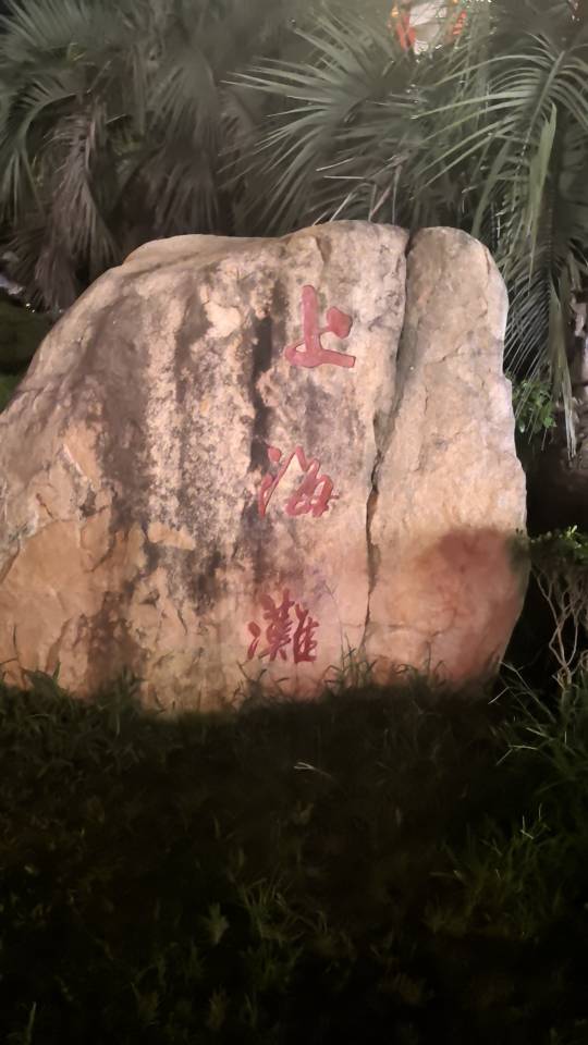 找旅行搭子