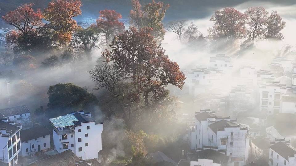 找旅游搭子