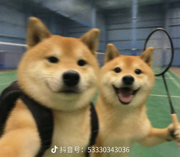 找跑步搭子