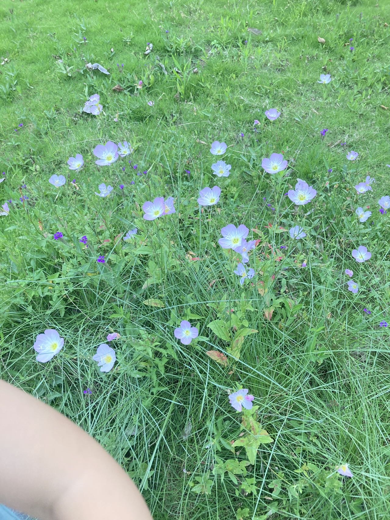 找运动搭子