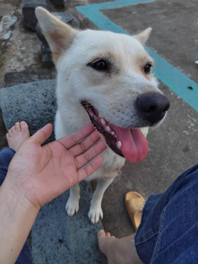 找运动搭子