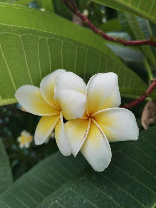 找玩搭子