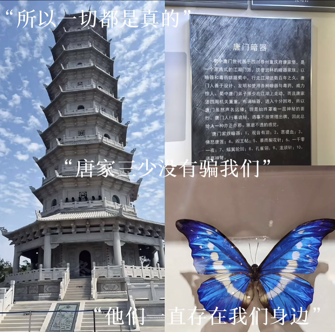 找学习搭子