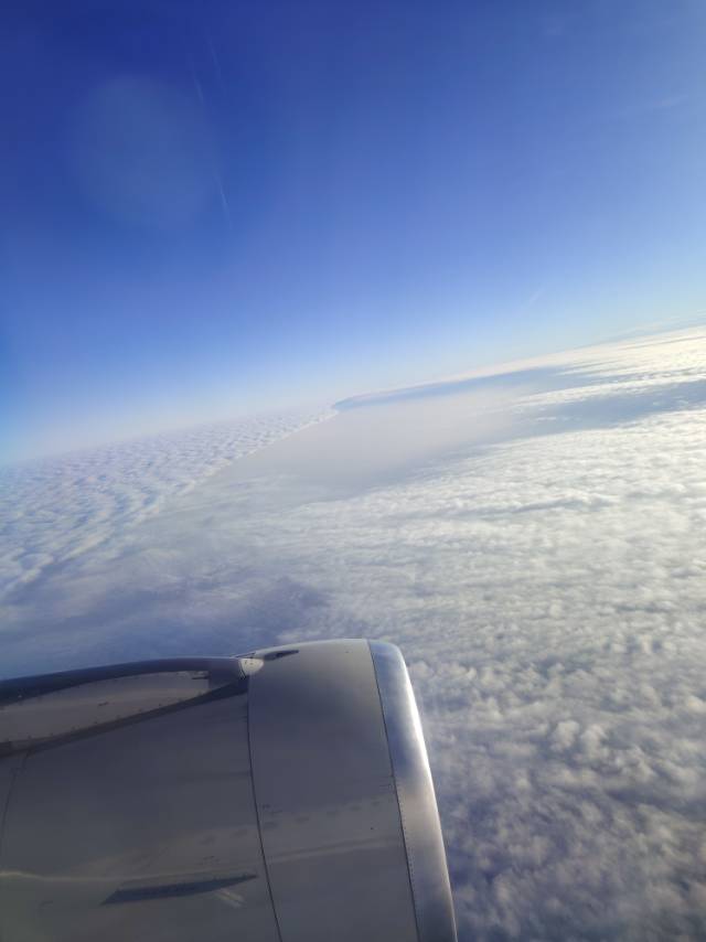 找旅游搭子