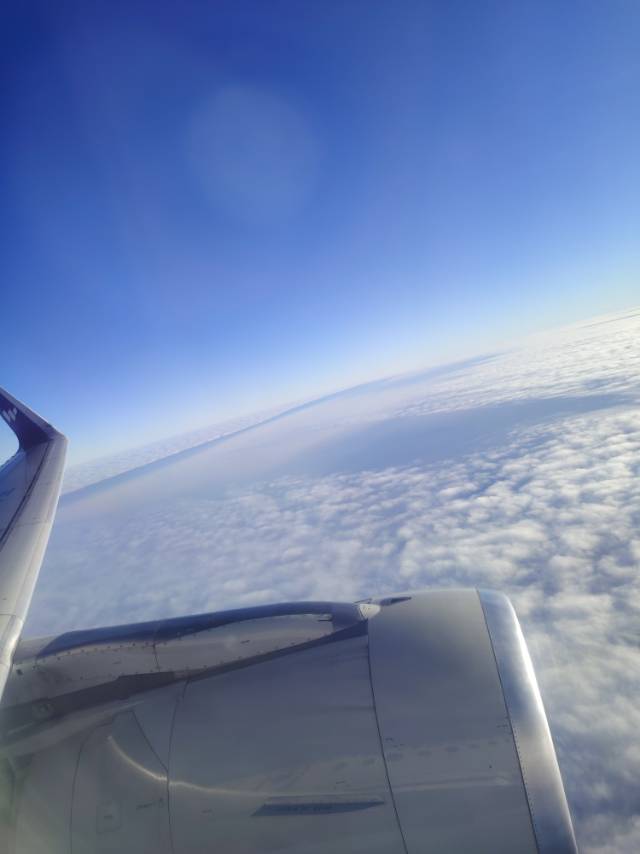 找旅游搭子