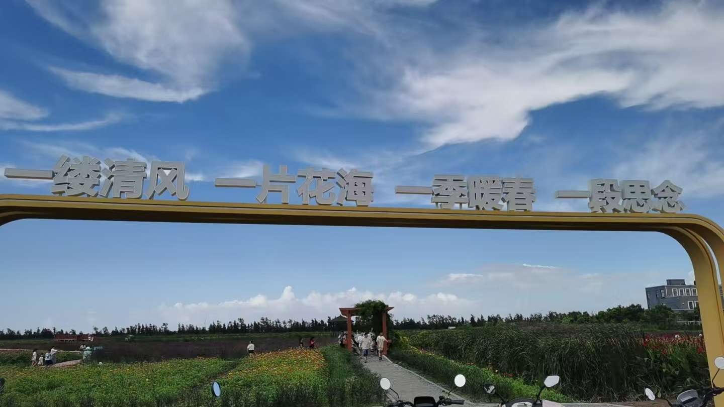找交易爱好者搭子