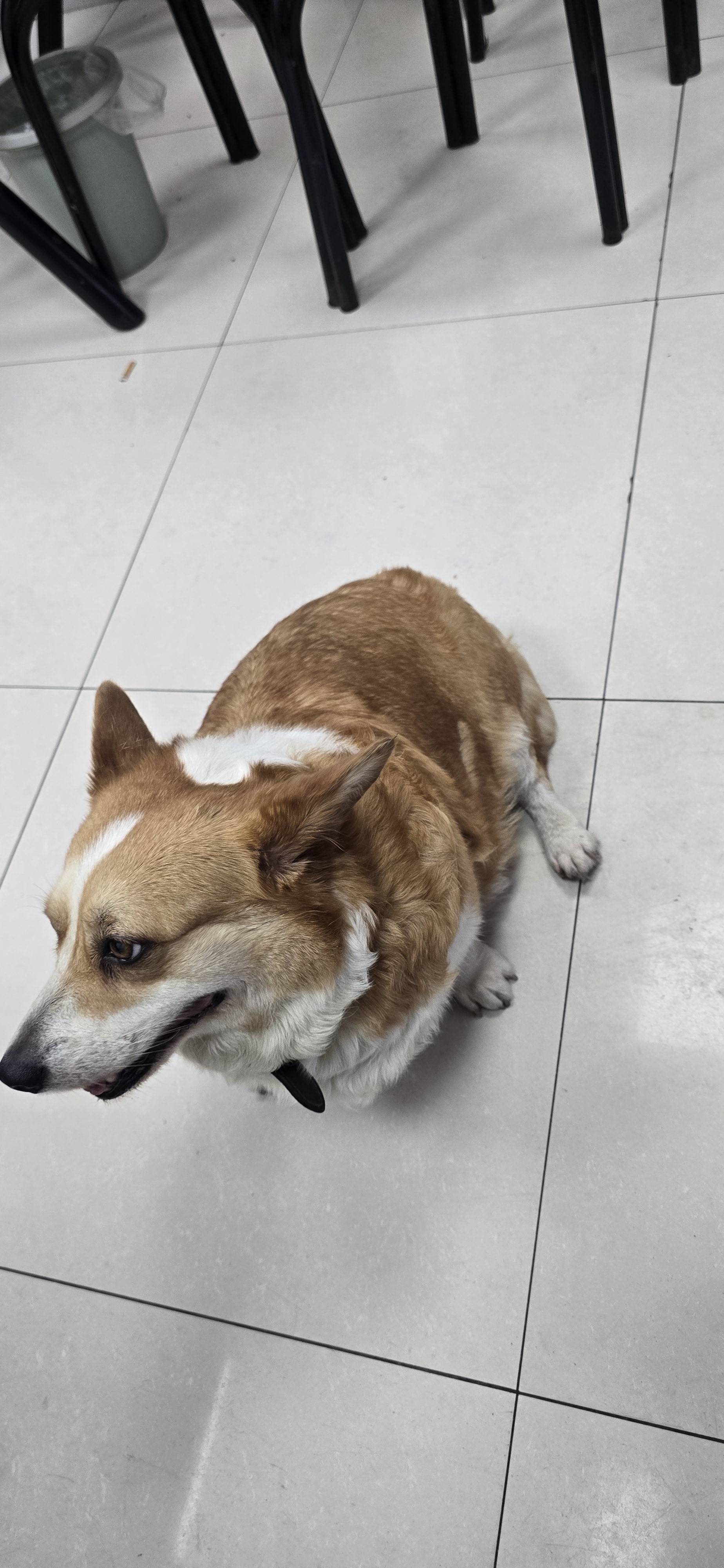 找打台球搭子