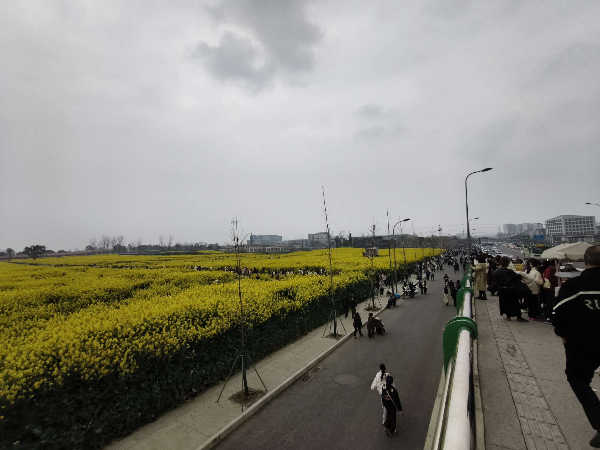 找慢跑搭子