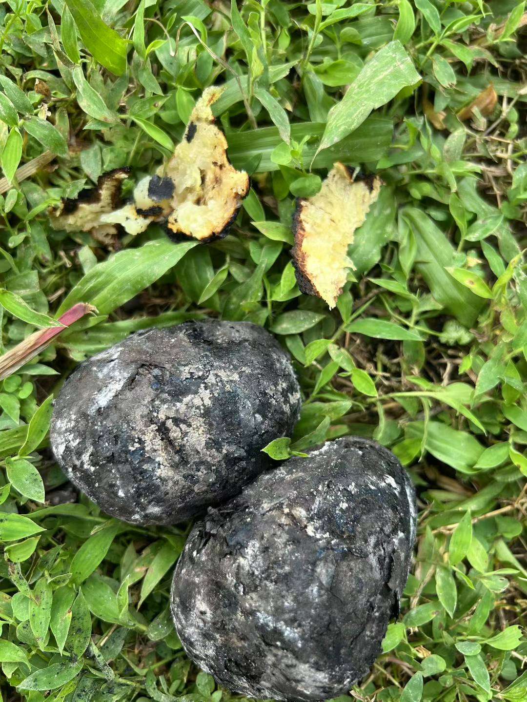 找户外露营搭子