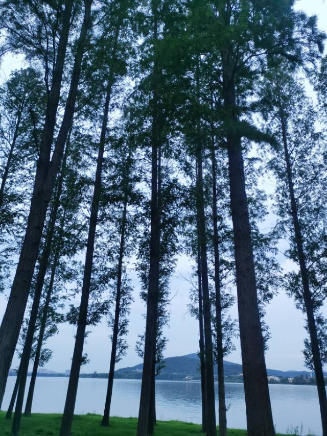 找旅游搭子