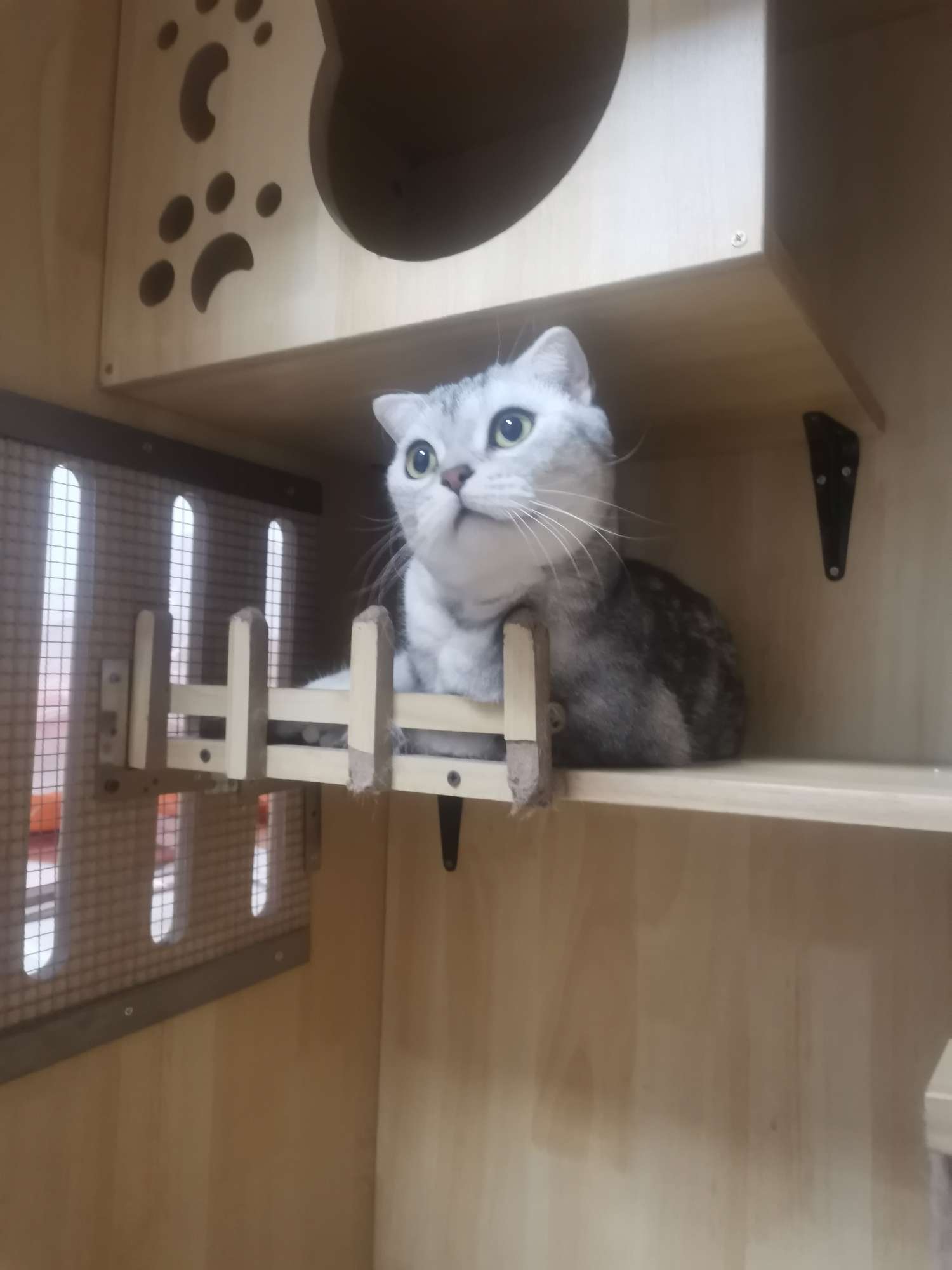 找户外搭子