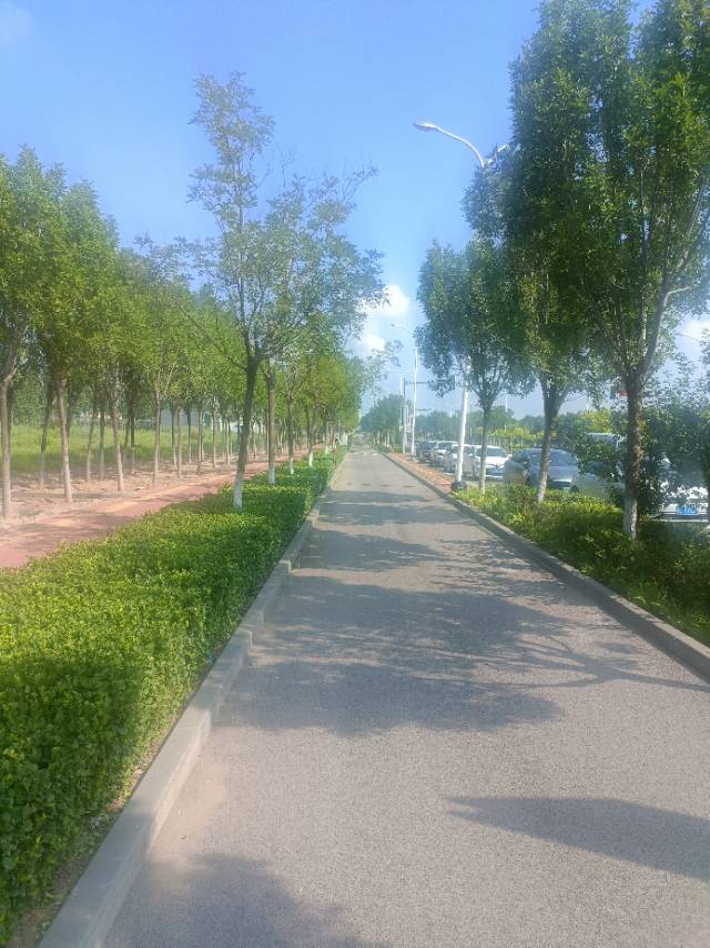找运动搭子