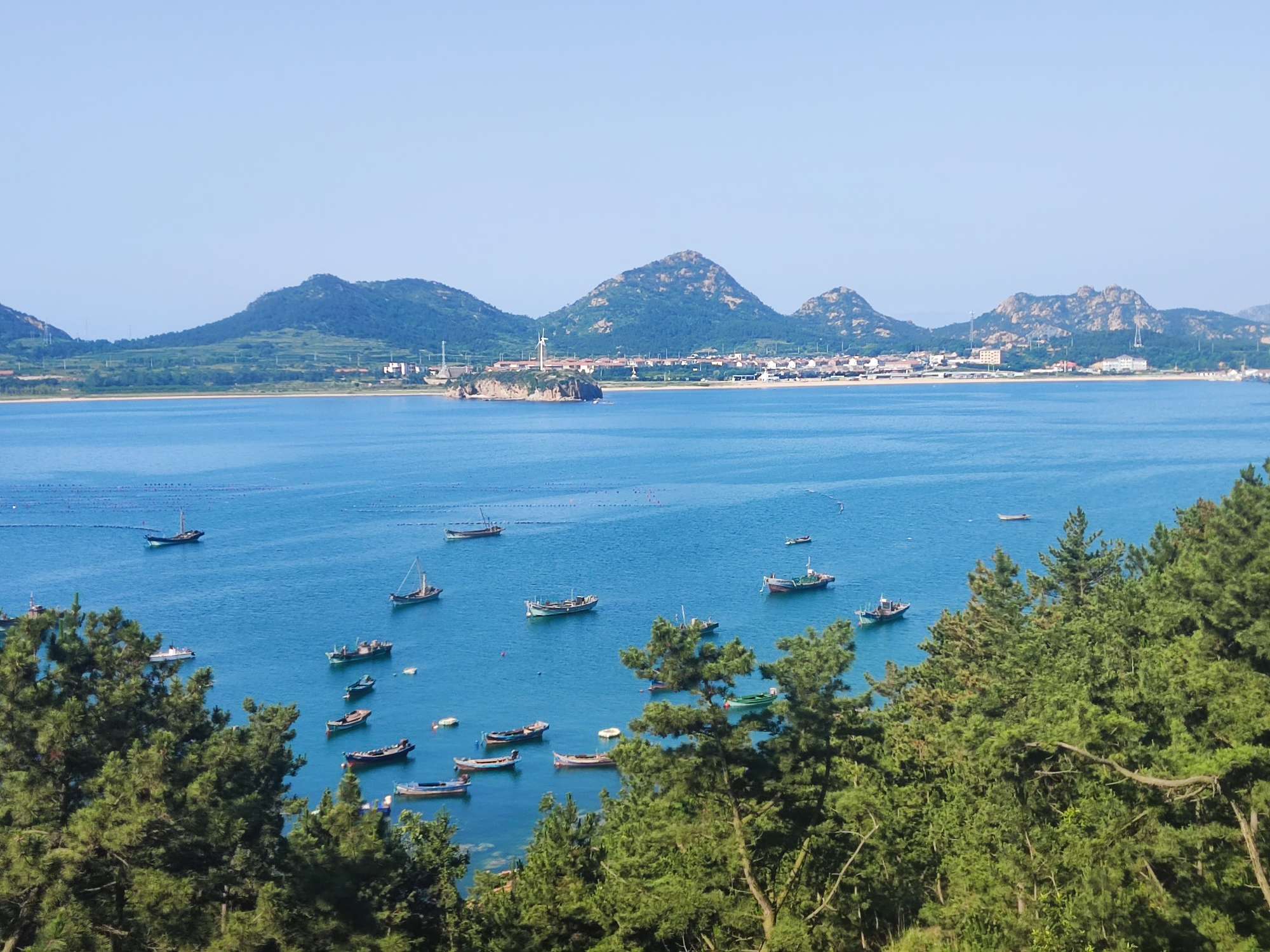 找旅游搭子