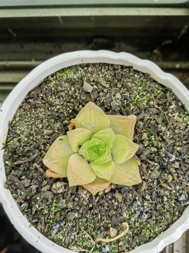 找聊天搭子