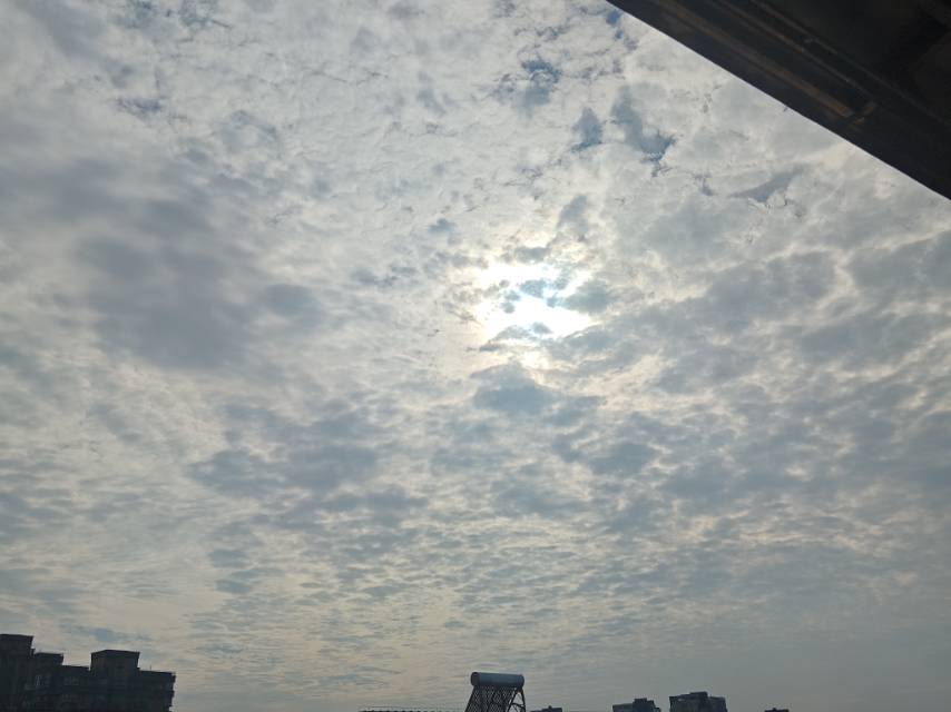 找运动运动搭子
