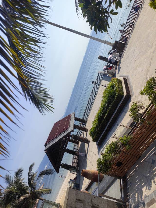 找走走停停搭子