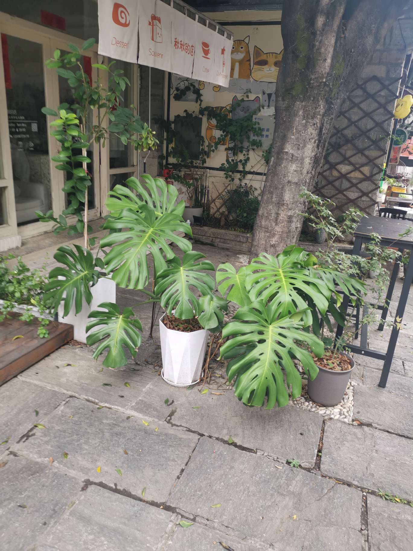 找运动搭子