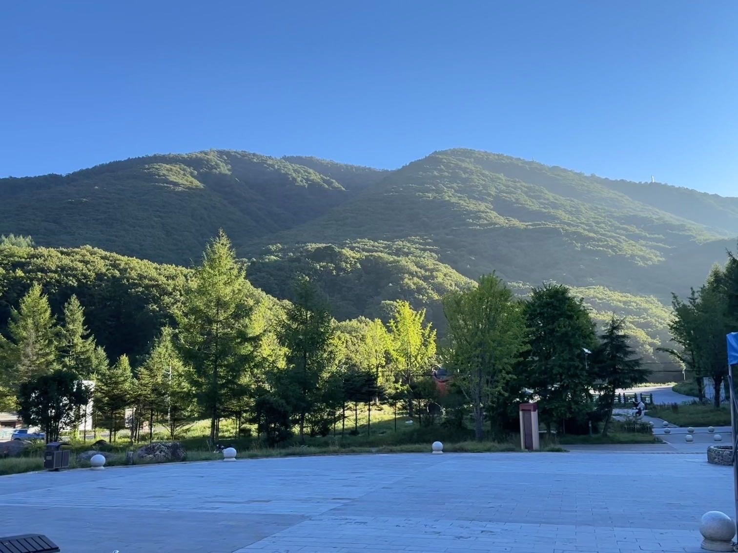找旅游搭子