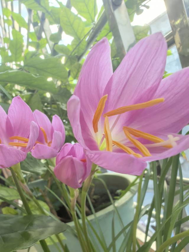 找玩搭子