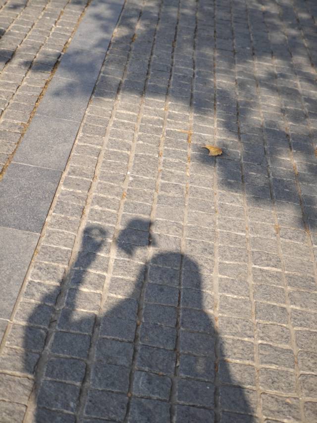找运动搭子