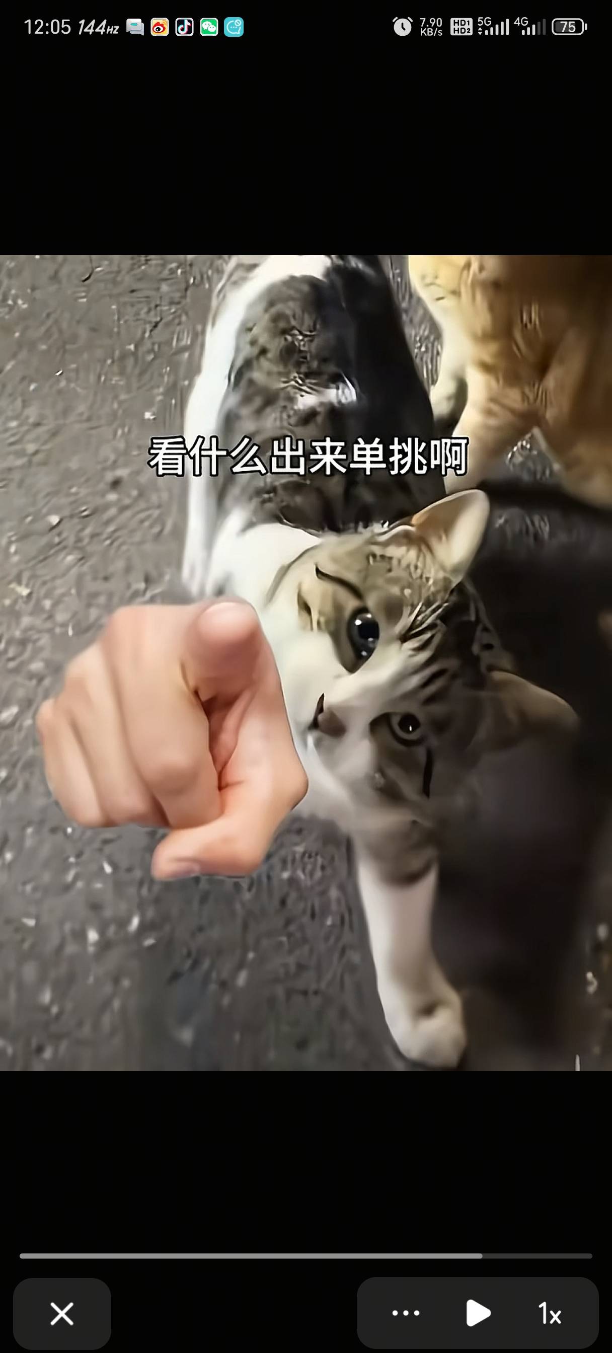 找吃饭搭子