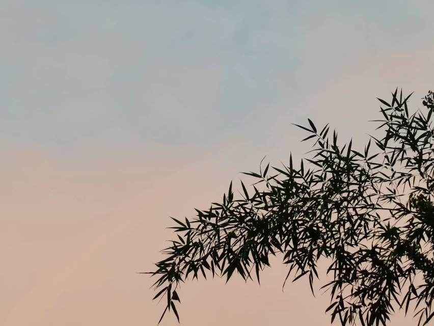 找学习搭子
