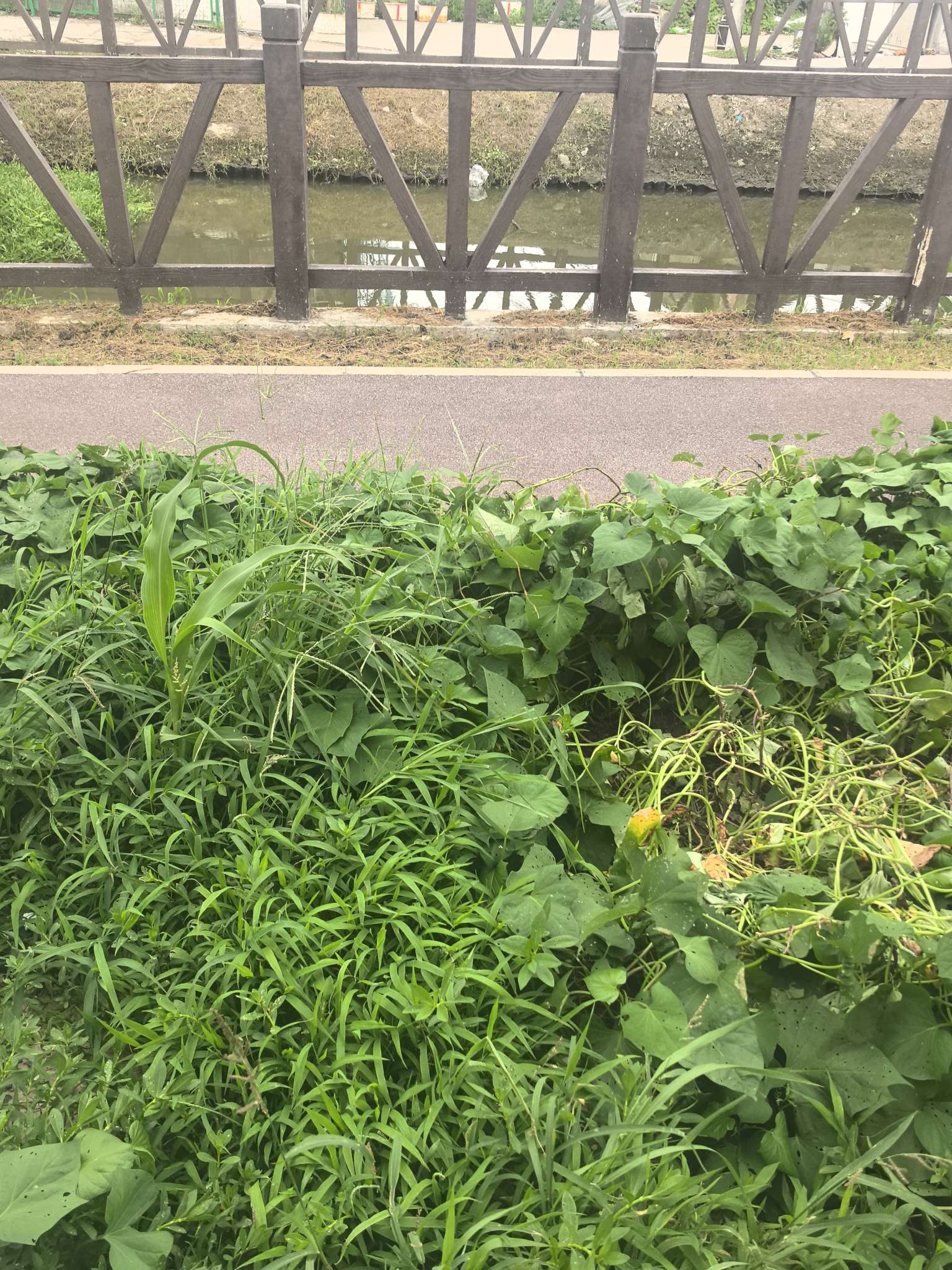 找旅游搭子