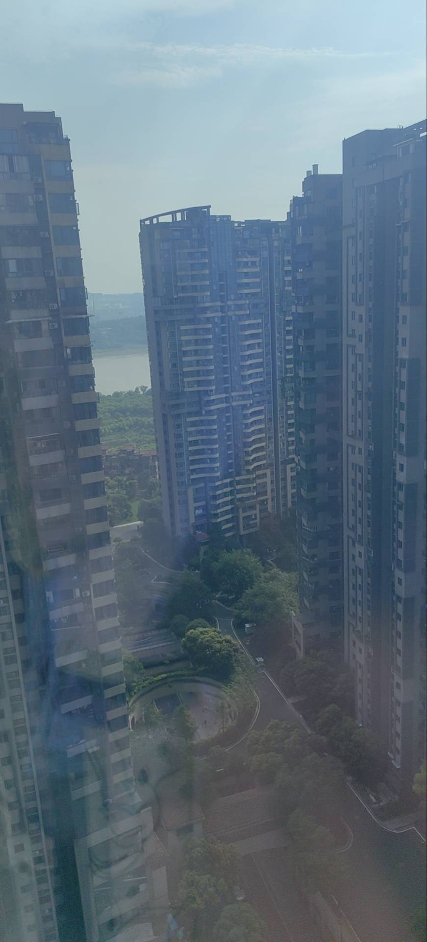 找陪伴搭子