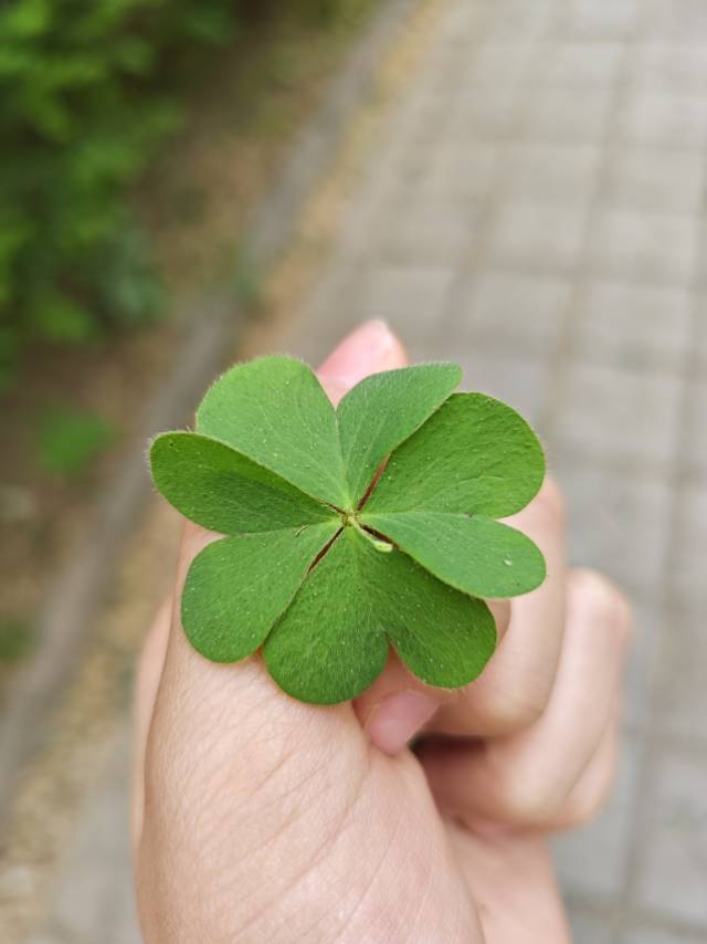 找聊天搭子