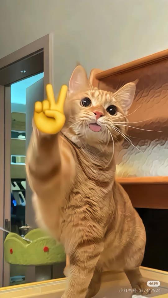 找健身房搭子