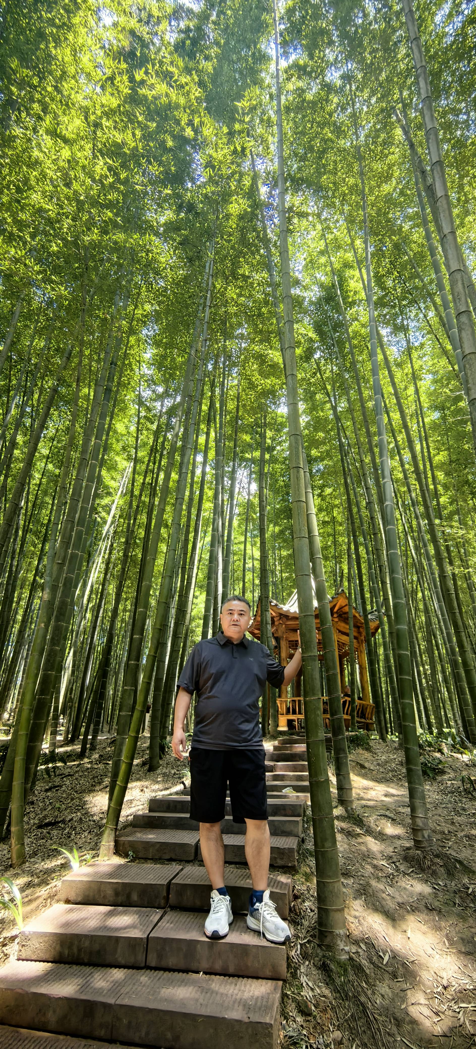 找旅游搭子