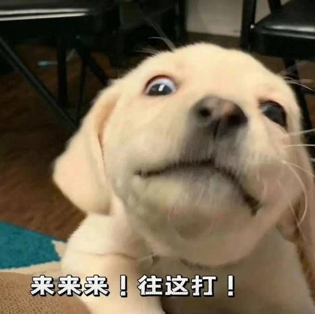 找旅游搭子