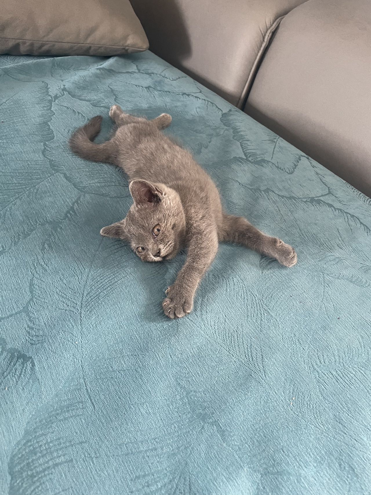 找运动搭子