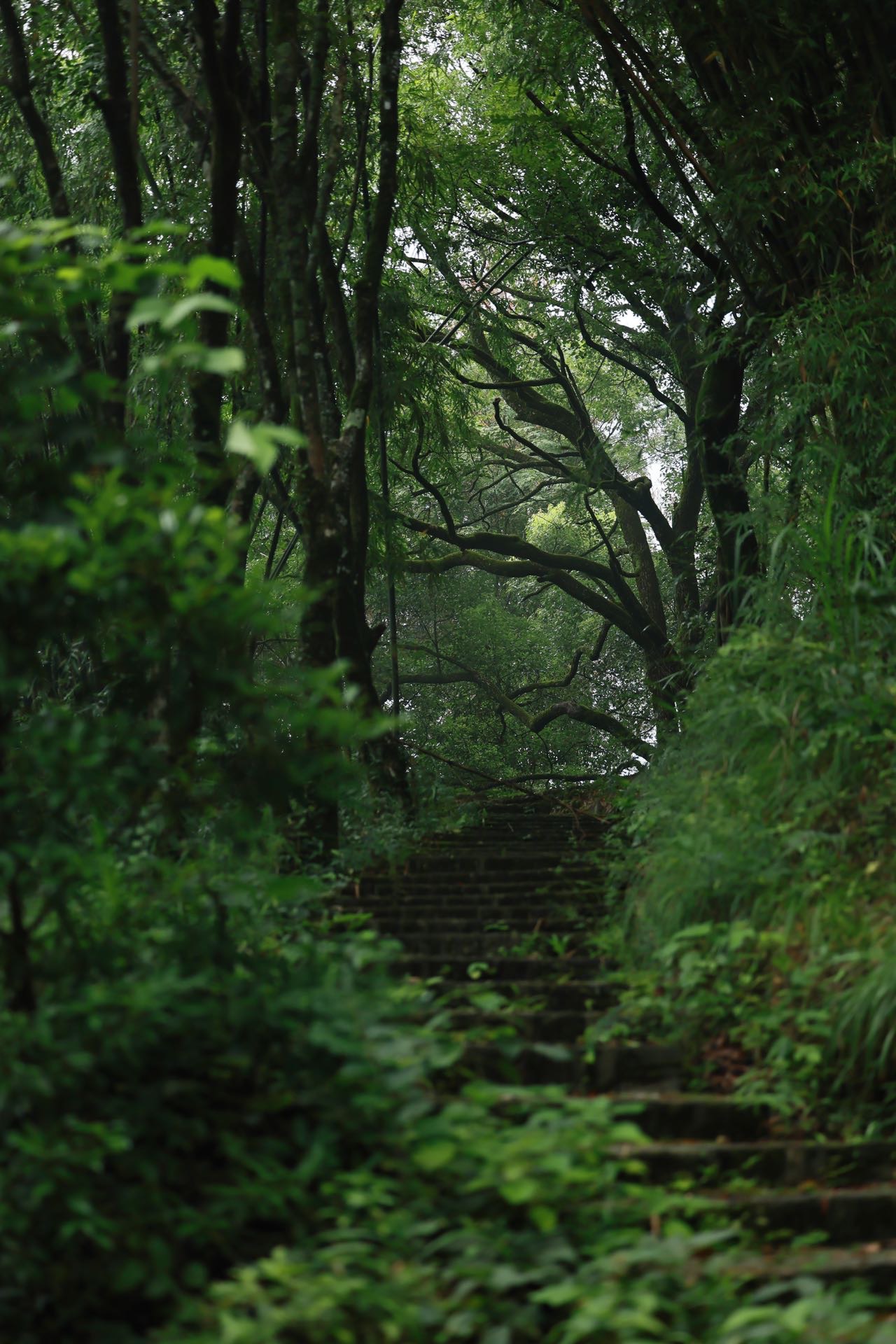 找暑假旅游搭子