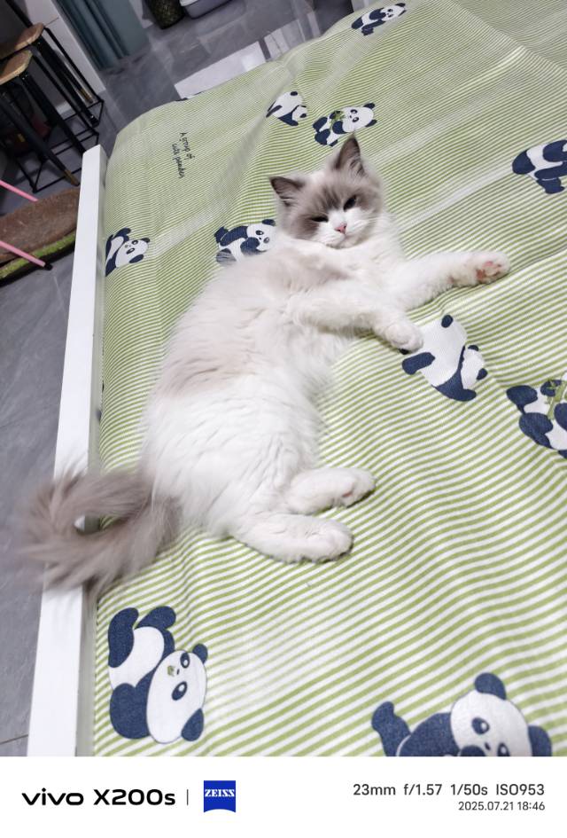 找台球搭子
