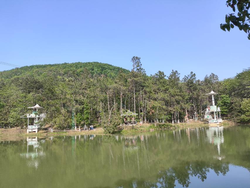 找旅游搭子