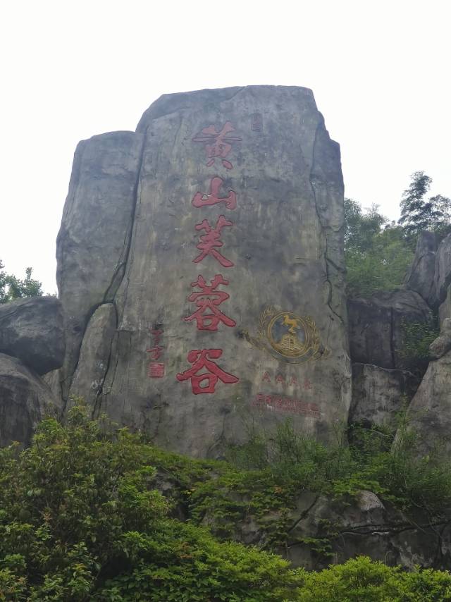 找运动搭子