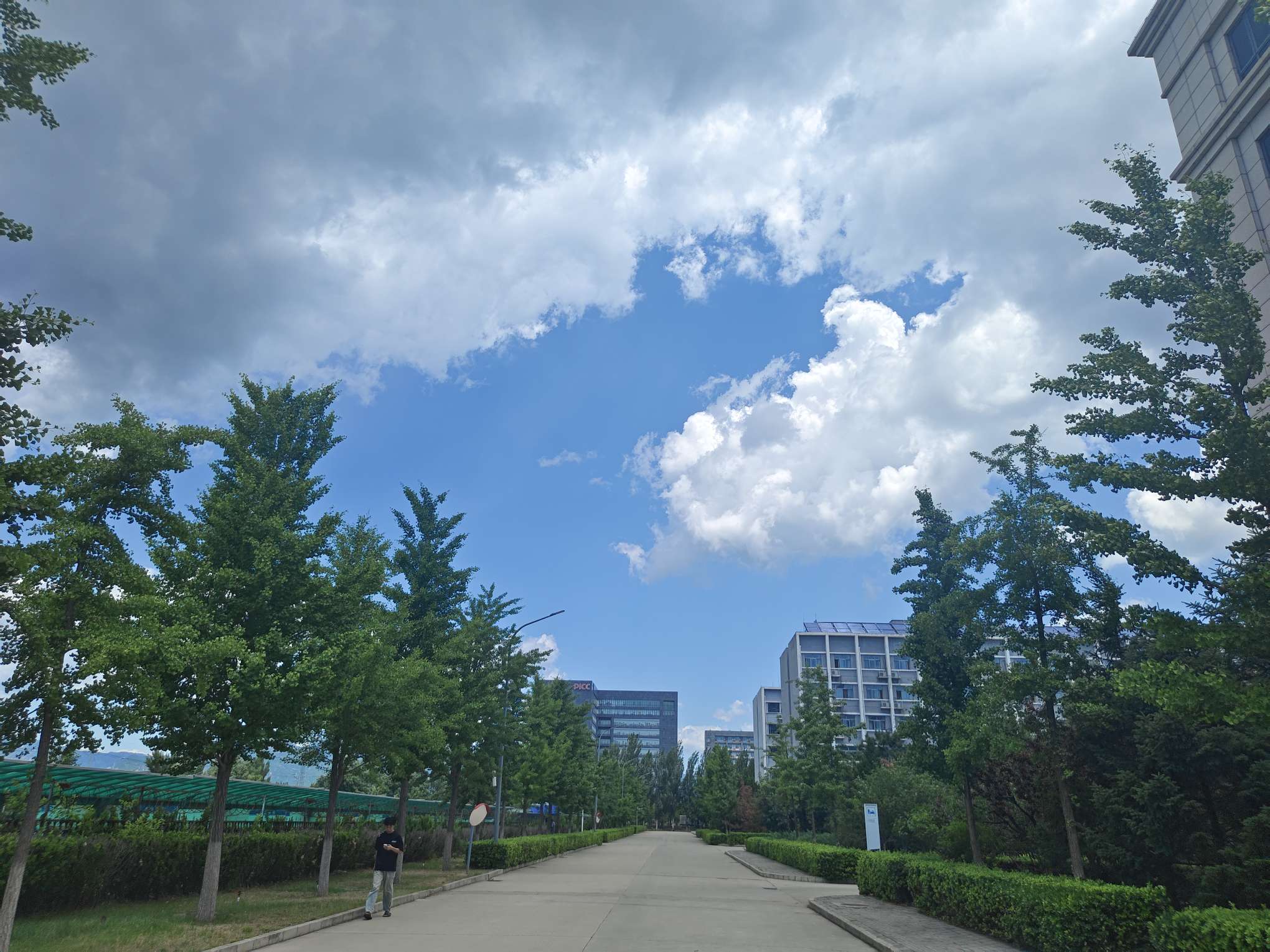 找打游戏搭子