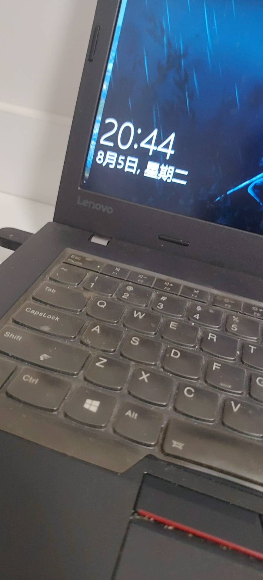 找吃搭子